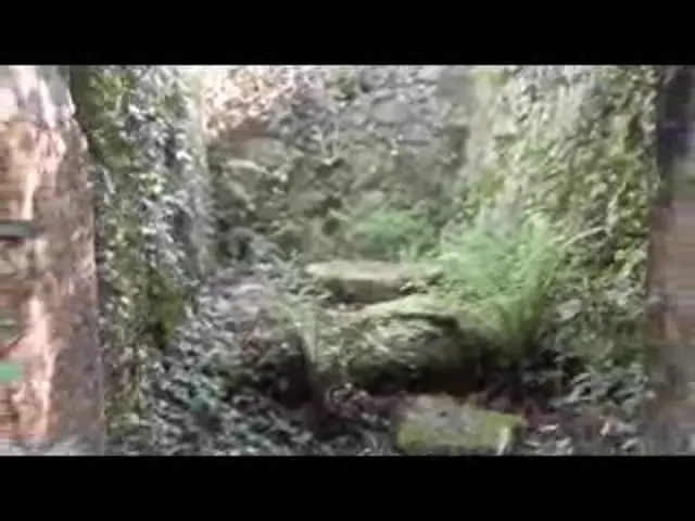 Vídeo: 6º Primaria: proxecto sobre Galicia, os seus costumes, tradicións, relevo, curiosidades…